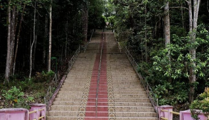 Taman Hutan Raya Sultan Syarif Hasyim Lokasi : Hutan Konservasi Siak, Minas Kabupaten Siak, Riau