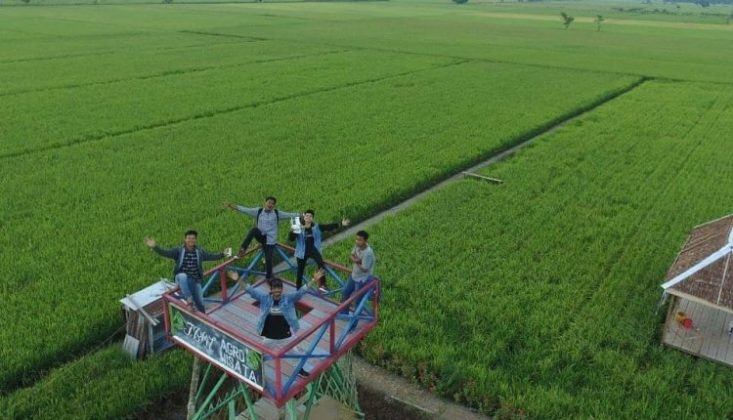 Taman Bunga Menara Lestari, Bungaraya Lokasi : Kec. Bungaraya, Kabupaten Siak, Riau