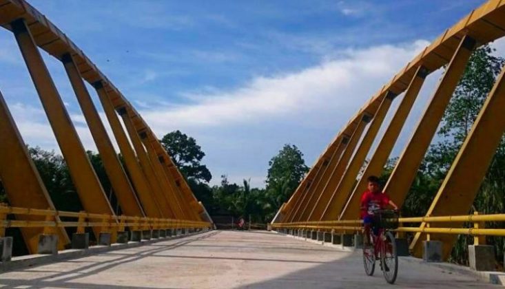 Jembatan Kupu Kupu Lokasi : Kp. Tengah, Mempura, Kabupaten Siak, Riau