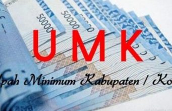 Tak Ada Lagi Upah Murah, Kadisnaker Riau Minta Pemda Proaktif Lakukan Pengawasan