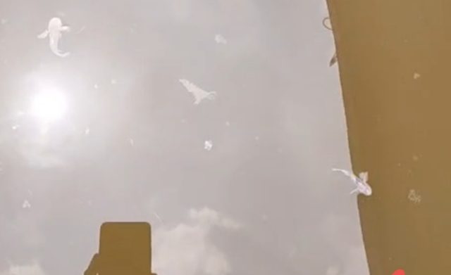 Screenshot_20260215_091542_copy_1024x626