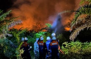 Kepungan Api Karhutla di Taman Nasional Zamrud Ancam Kawasan Sumur Minyak, Bupati Siak Bertahan hingga Dini Hari