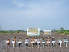 Siak Terima Program Penanaman 70.000 Hektare, Perkuat Peran Bungaraya sebagai Lumbung Pangan