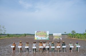 Siak Terima Program Penanaman 70.000 Hektare, Perkuat Peran Bungaraya sebagai Lumbung Pangan